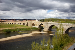 Bridges in Alliances