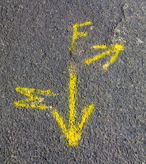 Directions to success
